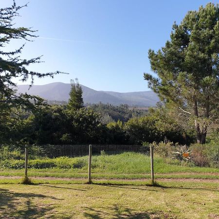 Elephant Country Guest House The Crags 外观 照片