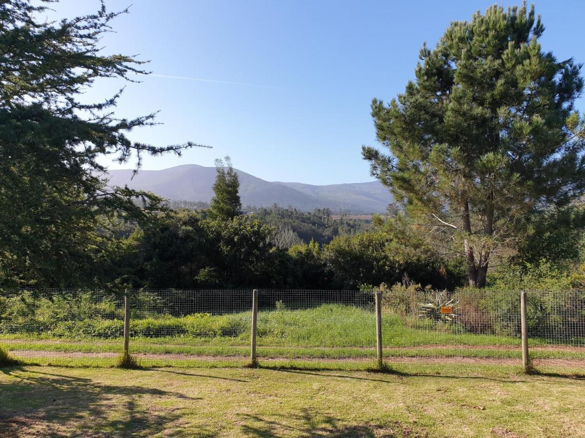 Elephant Country Guest House The Crags 外观 照片