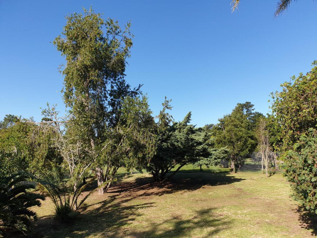 Elephant Country Guest House The Crags 外观 照片